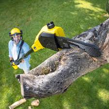 Best Lawn Watering Services  in Stone Park, IL